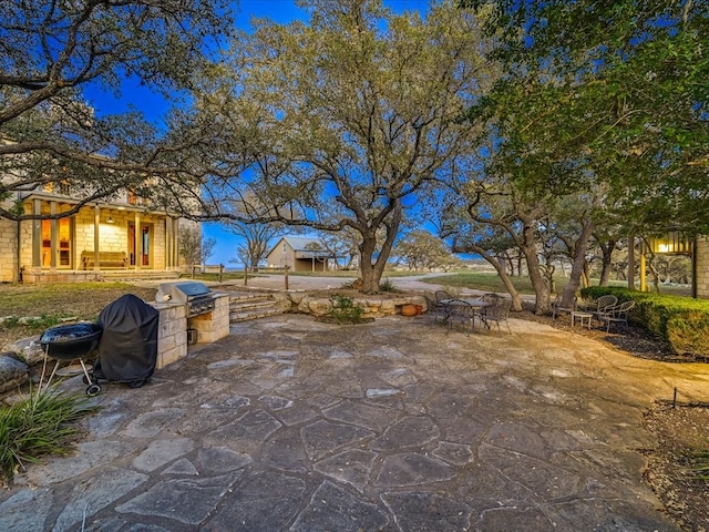 view of yard featuring an outdoor kitchen and a patio area