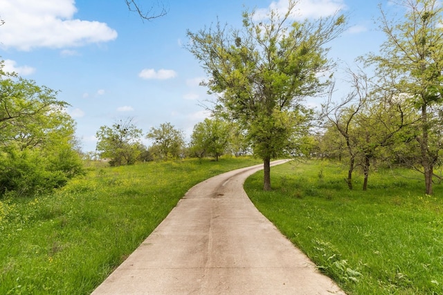 view of property's community with a yard