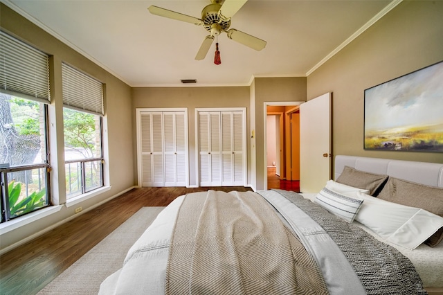 bedroom with multiple closets, crown molding, dark wood-type flooring, and ceiling fan