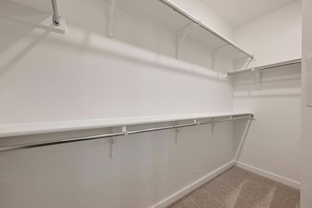 spacious closet with carpet