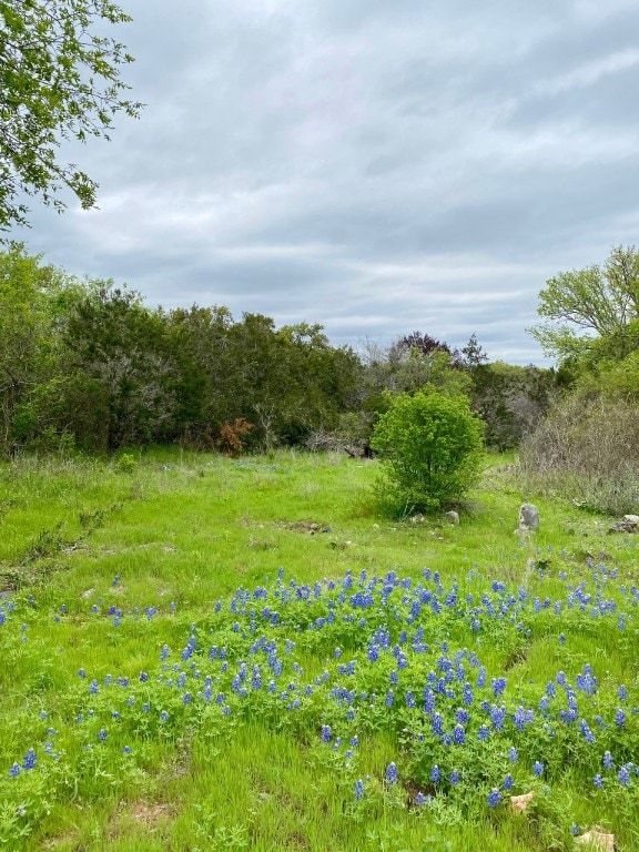 Listing photo 2 for 1201 Settlers Rd, San Marcos TX 78666