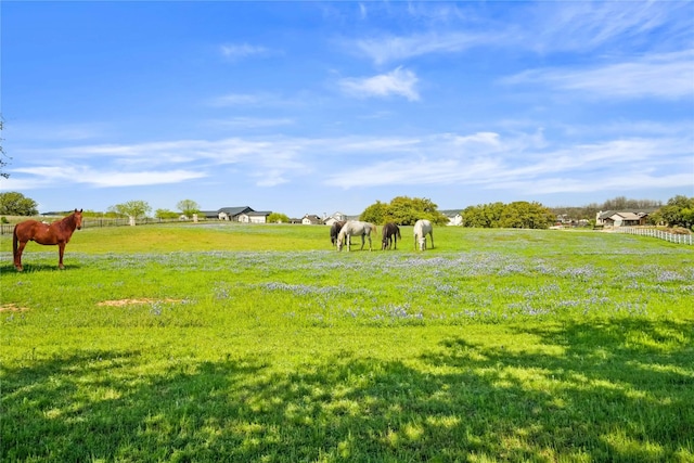 view of yard with a rural view