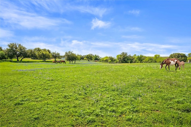 view of yard with a rural view