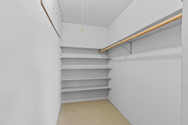 walk in closet featuring light colored carpet