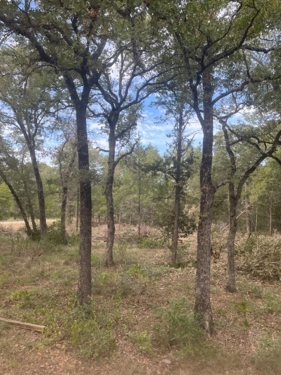 173 Shawnee Dr, Smithville TX, 78957 land for sale