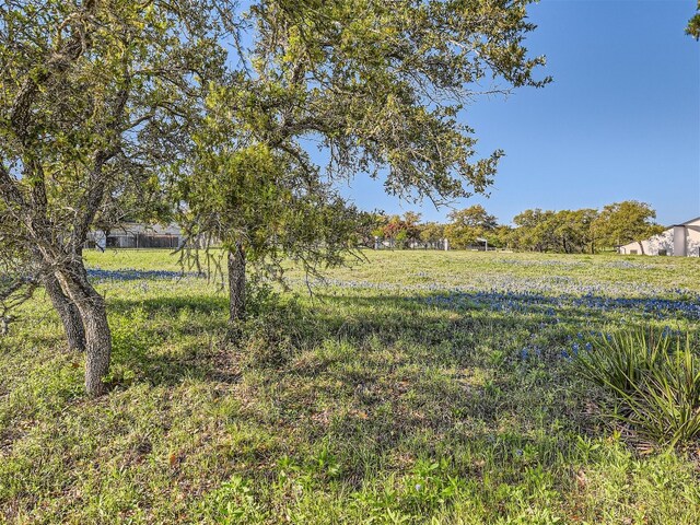 27209 Waterfall Hill Pkwy, Spicewood, TX 78669 - photo 7