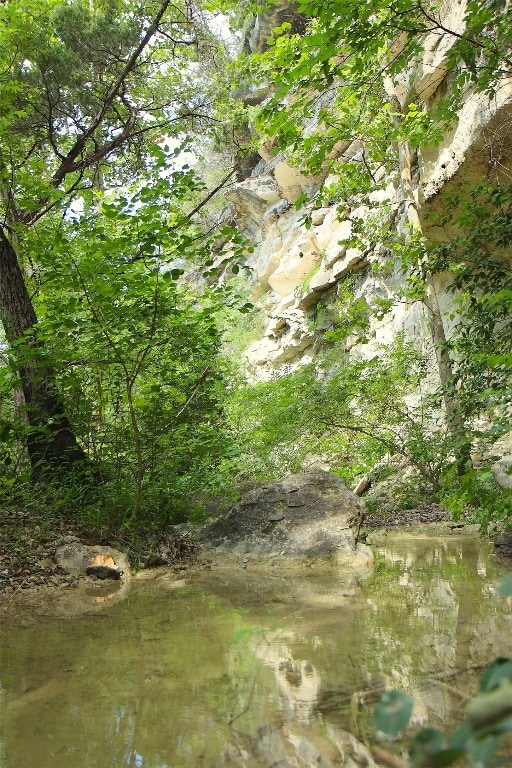 view of nature with a water view