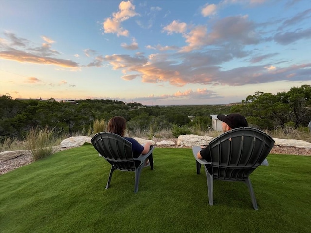 530 Pioneer Trl, Dripping Springs, TX 78620 - photo 22
