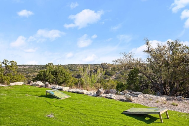 530 Pioneer Trl, Dripping Springs, TX 78620 - photo 21