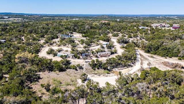 530 Pioneer Trl, Dripping Springs, TX 78620 - photo 2