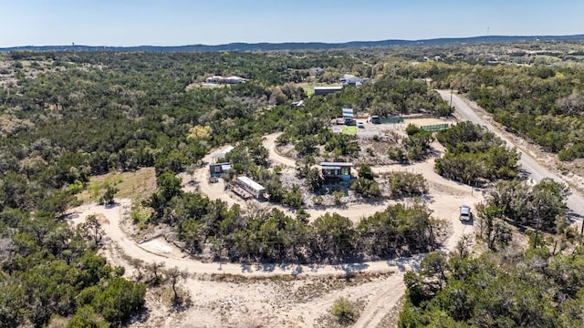 530 Pioneer Trl, Dripping Springs, TX 78620 - photo 1