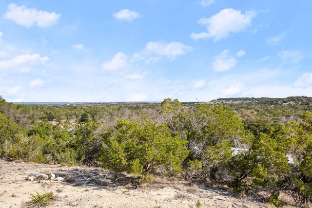 530 Pioneer Trl, Dripping Springs, TX 78620 - photo 27