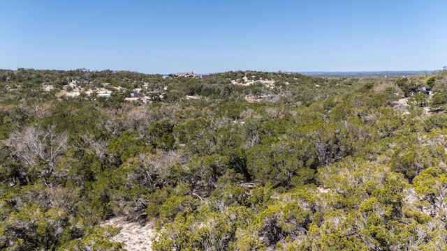 530 Pioneer Trl, Dripping Springs, TX 78620 - photo 28