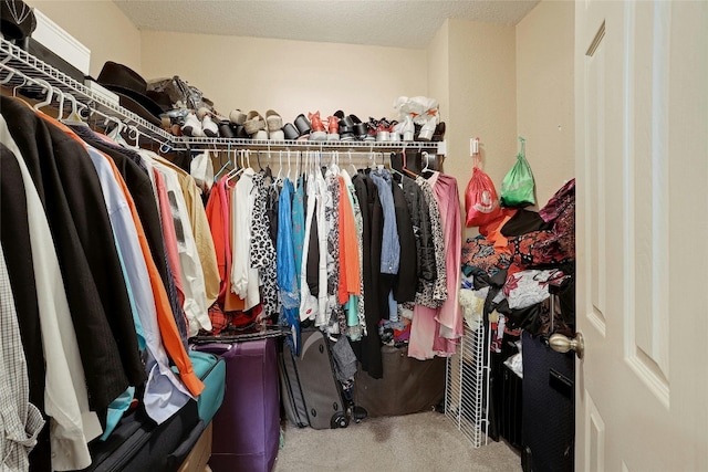 spacious closet featuring carpet floors