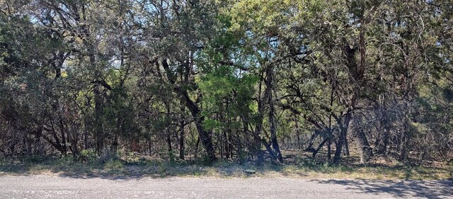 2810 Newton Dr, Lago Vista, TX 78645 - photo 5
