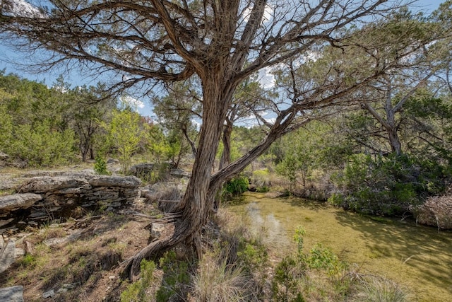 Listing photo 2 for 000 Cripple Creek Stage Rd, Dripping Springs TX 78620