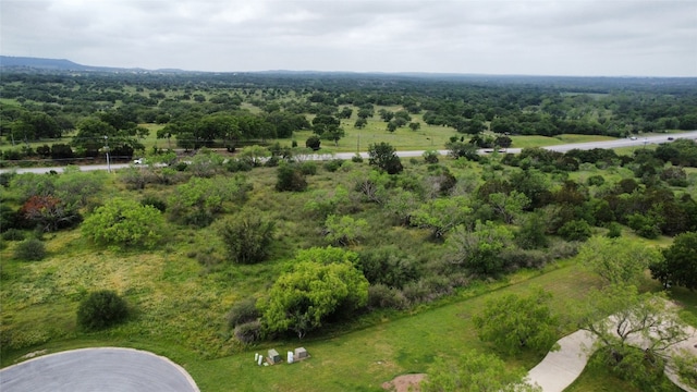 Listing photo 3 for TBD Running Brook Trail, Spicewood TX 78669