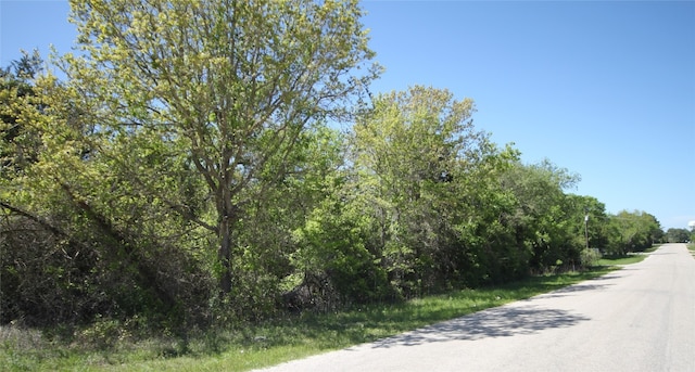 TBD Cool Water Dr, Bastrop TX, 78602 land for sale