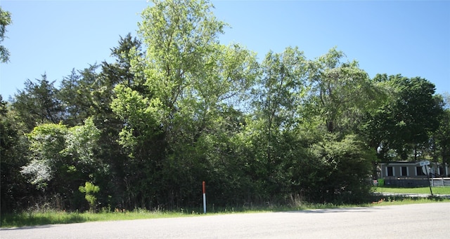 Listing photo 3 for TBD Cool Water Dr, Bastrop TX 78602