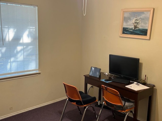 office area featuring carpet