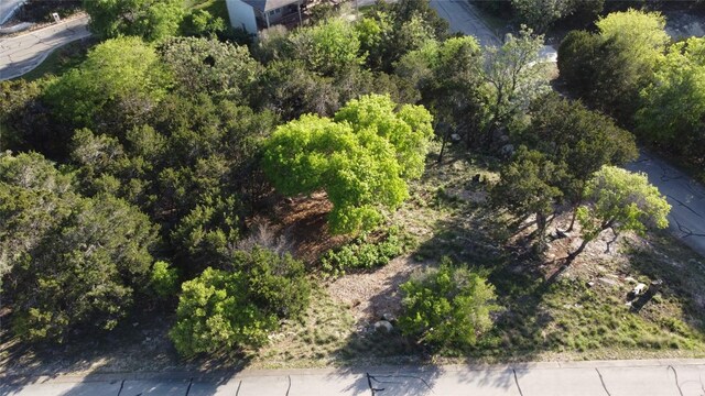 19009 Mariners Pt, Lago Vista, TX 78645 - photo 5