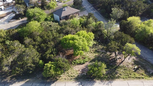19009 Mariners Pt, Lago Vista, TX 78645 - photo 6