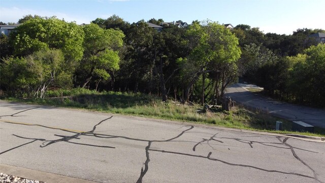 19009 Mariners Pt, Lago Vista, TX 78645 - photo 2
