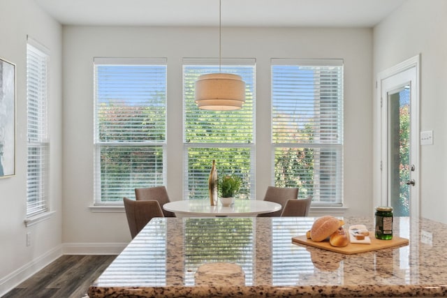 dining space with a wealth of natural light and dark hardwood / wood-style floors