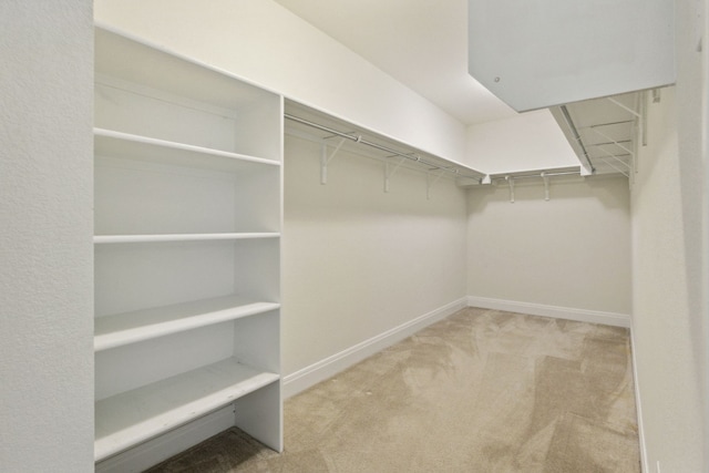 walk in closet featuring light colored carpet