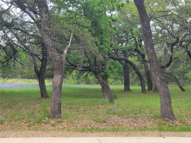 208 Cactus Cor, Horseshoe Bay TX, 78657 land for sale