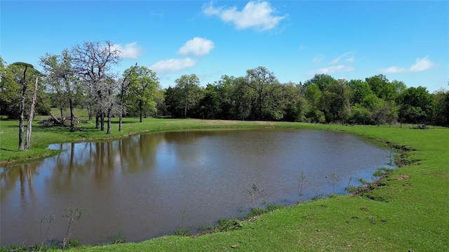 188 Zindler Ln, Paige, TX 78659 - view of property view of water