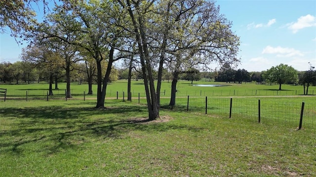 188 Zindler Ln, Paige, TX 78659 - view of yard