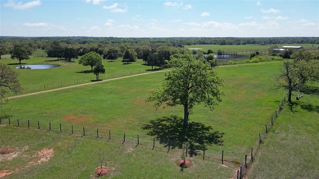 188 Zindler Ln, Paige, TX 78659 - bird's eye view with a rural view