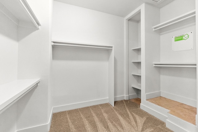 spacious closet featuring carpet