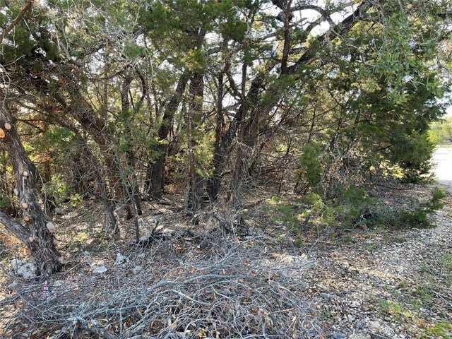 21105 Santa Carlo Ave, Lago Vista, TX 78645 - photo 3