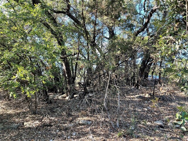 21105 Santa Carlo Ave, Lago Vista, TX 78645 - photo 7