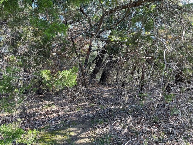 21105 Santa Carlo Ave, Lago Vista, TX 78645 - photo 9