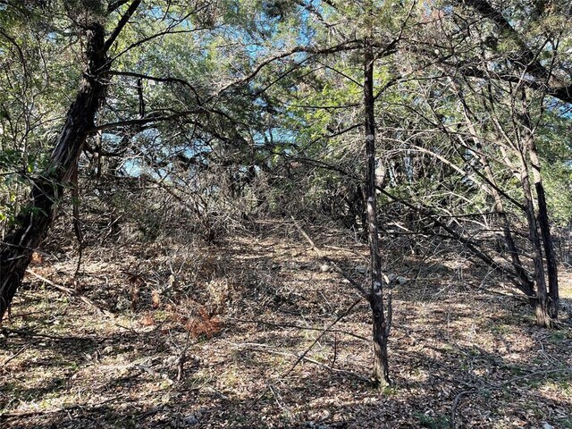 21105 Santa Carlo Ave, Lago Vista, TX 78645 - photo 10