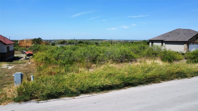 195 Burrobrush St, Niederwald, TX 78640 - photo 4