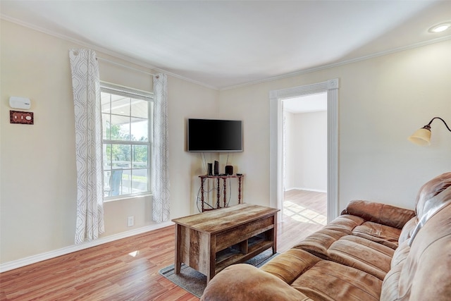 living room featuring crown molding and light hardwood / wood-style flooring