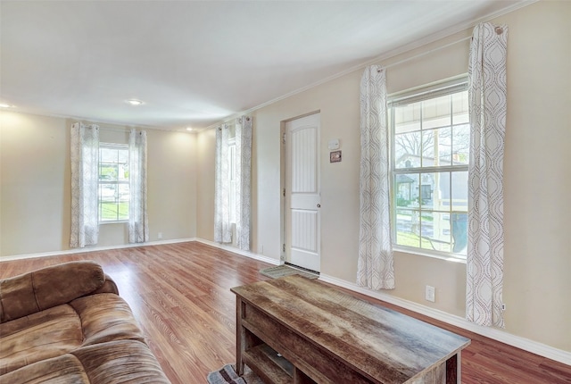 living room with ornamental molding, a wealth of natural light, and hardwood / wood-style flooring