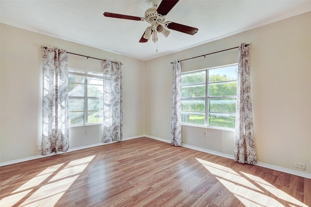 unfurnished room featuring light hardwood / wood-style floors and ceiling fan