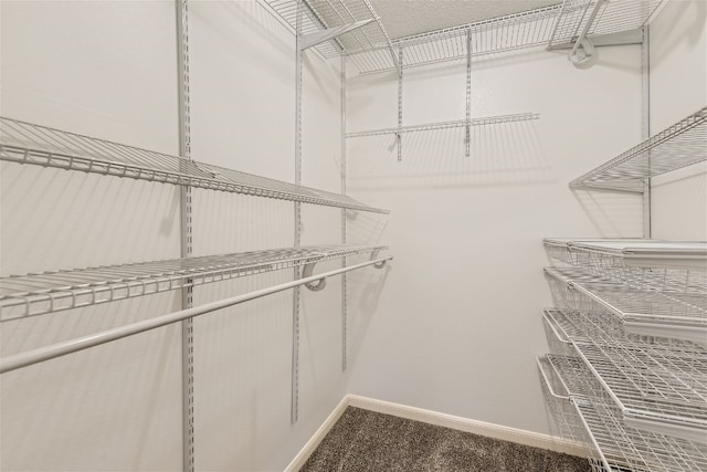 spacious closet featuring carpet flooring