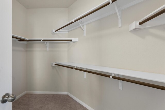 spacious closet with carpet floors