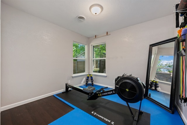 exercise area featuring dark hardwood / wood-style flooring