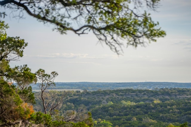 TBD Bell Springs Rd, Dripping Springs TX, 78620 land for sale