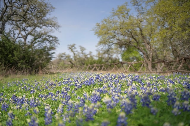 Listing photo 3 for TBD Bell Springs Rd, Dripping Springs TX 78620