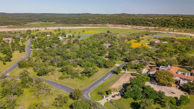 Listing photo 3 for 201 Yaupon Dr, Spicewood TX 78669