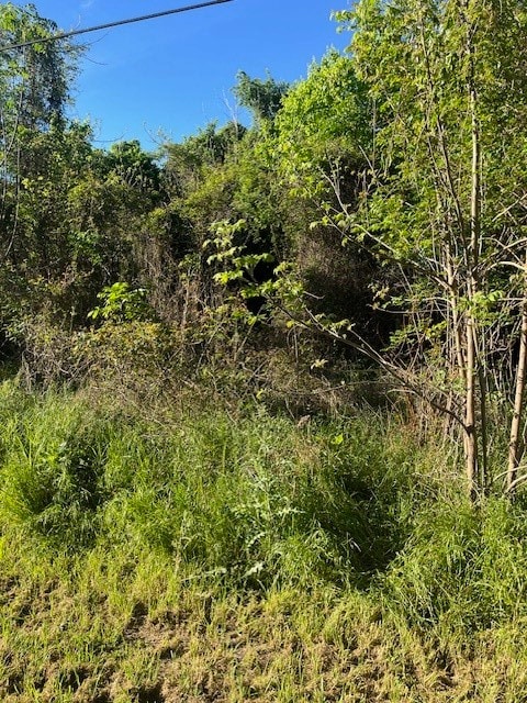 171 Kahana Ln, Bastrop, TX 78602