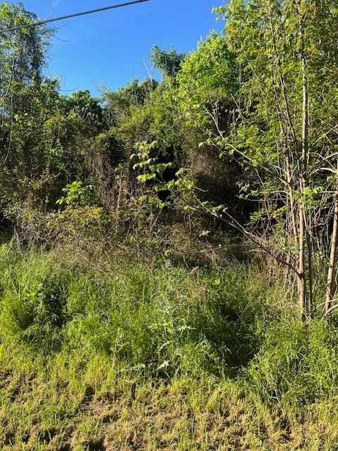 171 Kahana Ln, Bastrop TX, 78602 land for sale